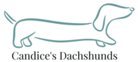 Candice's Dachshunds