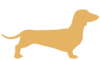 Short haired Dachshund icon
